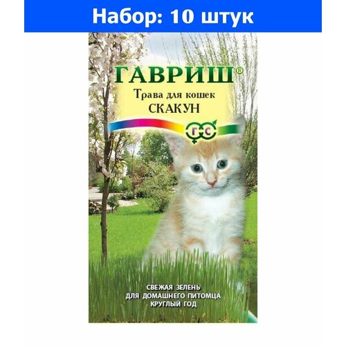      10 () - 10     -     , -, 