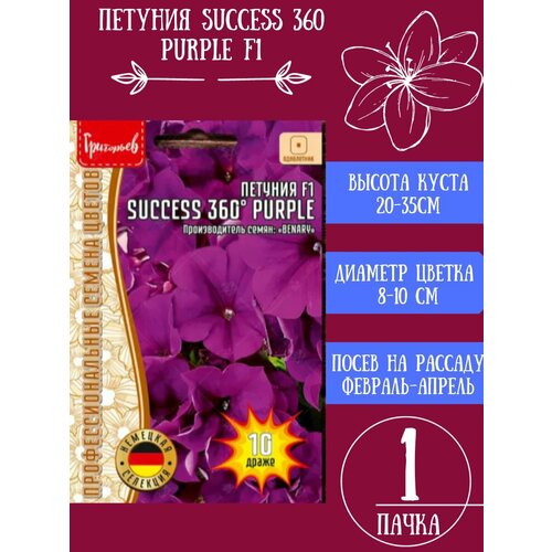   SUCCESS 360 Purple F1 1   -     , -, 