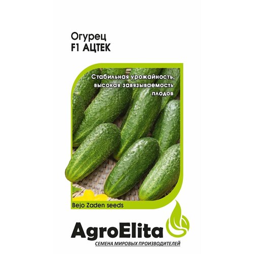     F1, 5, AgroElita, Bejo   -     , -, 