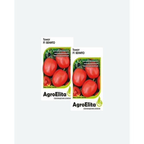     F1, 10, AgroElita, Bejo(2 )   -     , -, 