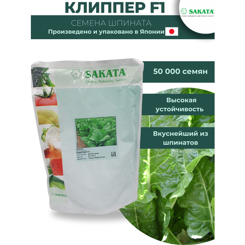   F1 -  , 50 000 , SAKATA SEEDS/  ()   -     , -, 