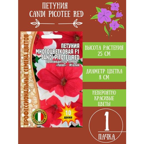    Candi Picotee Red 1   -     , -, 