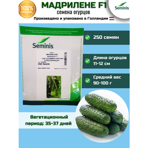   F1 -  , 250 , Seminis/ ()   -     , -, 