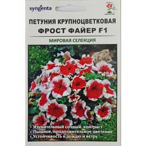      F1, Syngenta   -     , -, 