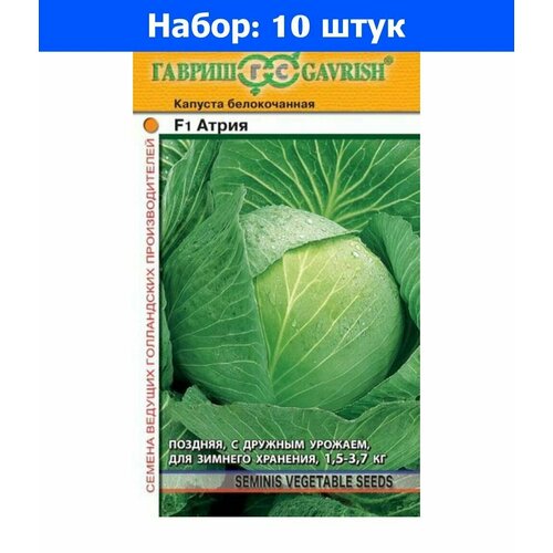   /  F1 10  () - 10     -     , -, 