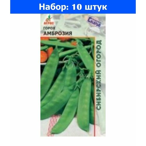     10  () - 10     -     , -, 