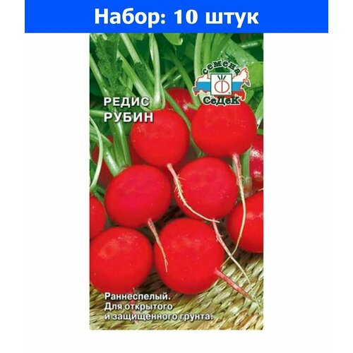    3  () - 10     -     , -, 