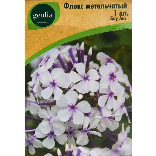   Geolia      -     , -, 