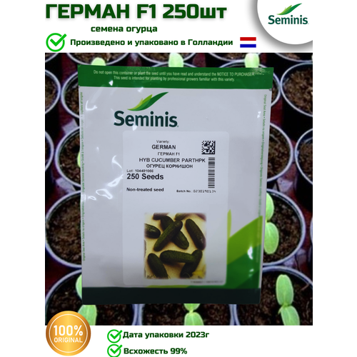   F1 -  , 250  Seminis/ ()   -     , -, 