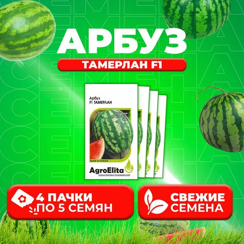    F1, 5, AgroElita, Nunhems (4 )   -     , -, 