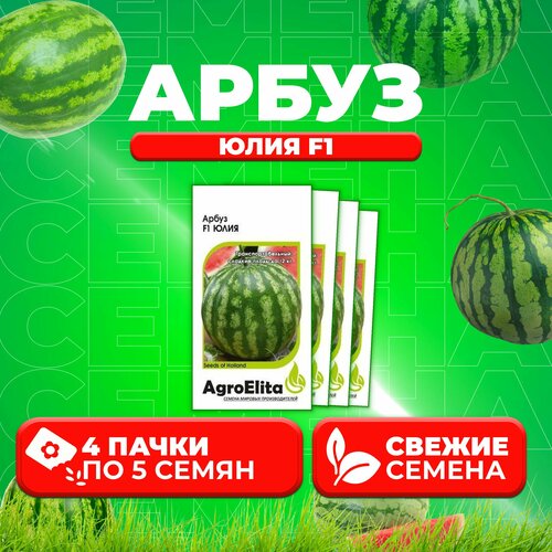    F1, 5, AgroElita, Nunhems (4 )   -     , -, 