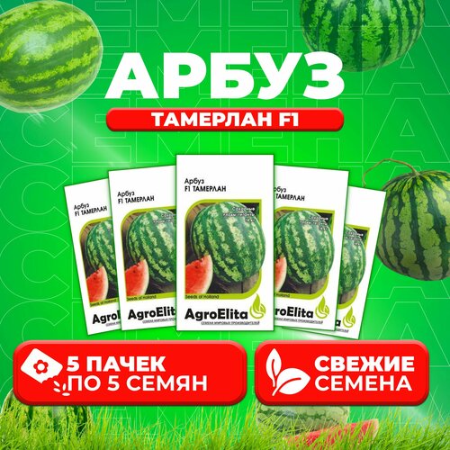    F1, 5, AgroElita, Nunhems (5 )   -     , -, 