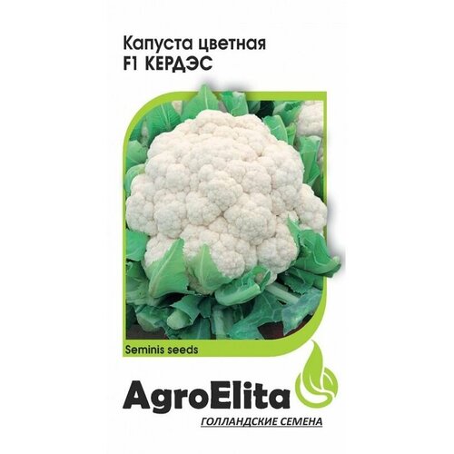      F1 . (AgroElita) 10 ()   -     , -, 