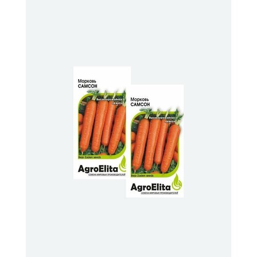    , 0,5, AgroElita, Bejo(2 )   -     , -, 