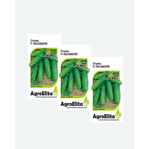     F1, 10, AgroElita(3 )   -     , -, 