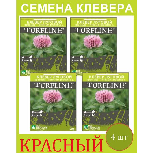         Trifolium Protense L TURFLINE DLF 0.2  (0,05 . - 4 )   -     , -, 