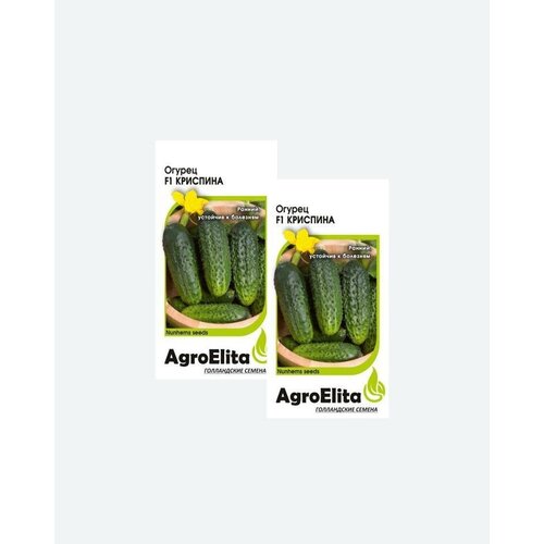     F1, 5, AgroElita, Nunhems(2 )   -     , -, 