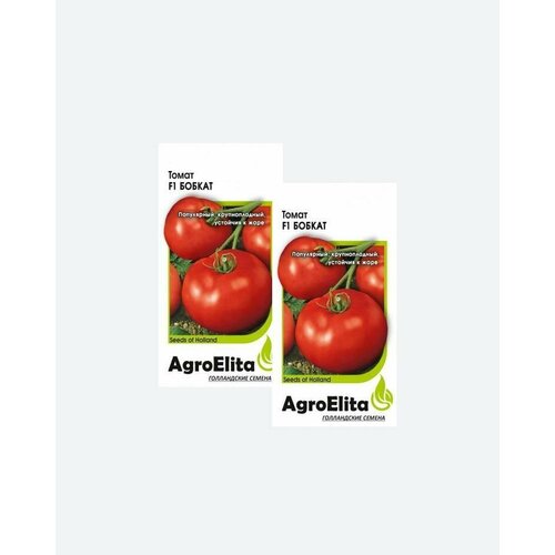     F1, 10, AgroElita(2 )   -     , -, 