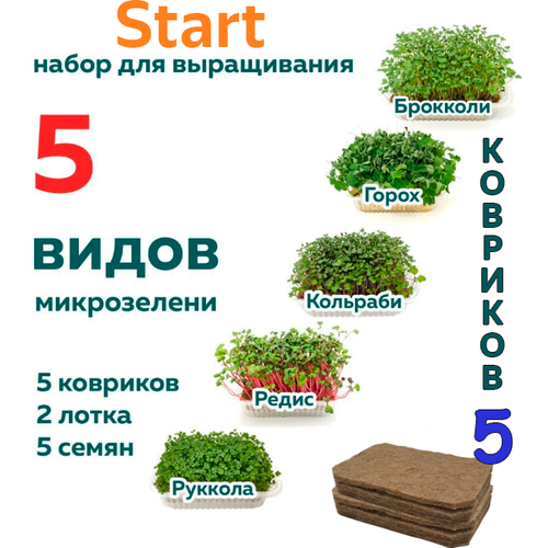      Start 5       