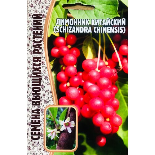     (Schizandra chinensis) (5 )   -     , -, 