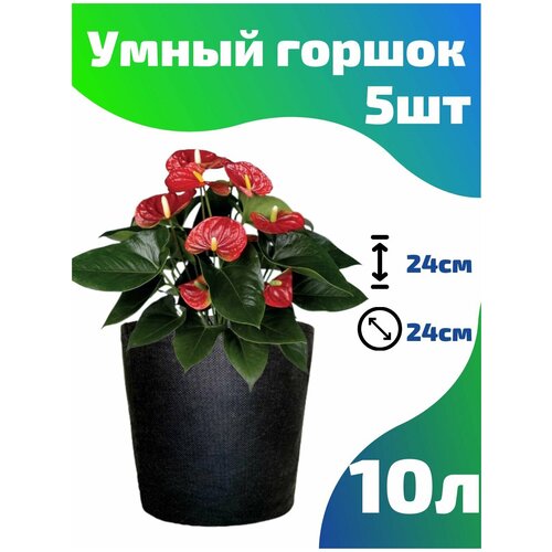     , ,  Smart Pot - 10  5 .   -     , -, 