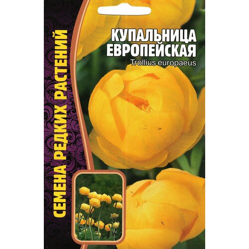   / Trollius europaeus,  ( 1 : 20  )   -     , -, 