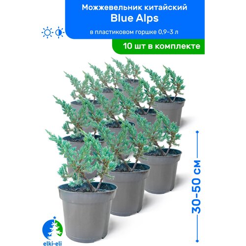    Blue Alps ( ) 30-50     0,9-3 , ,   ,   10    -     , -, 