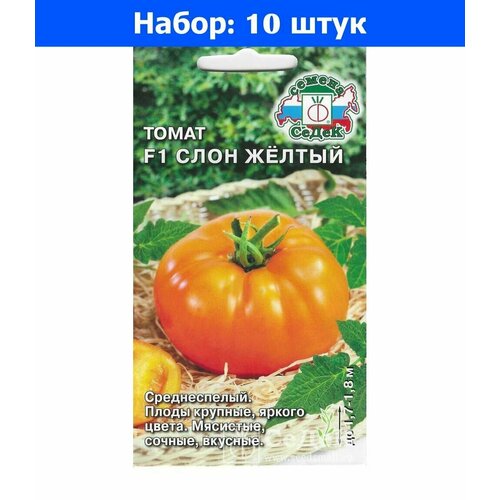     F1 0,1   () - 10     -     , -, 