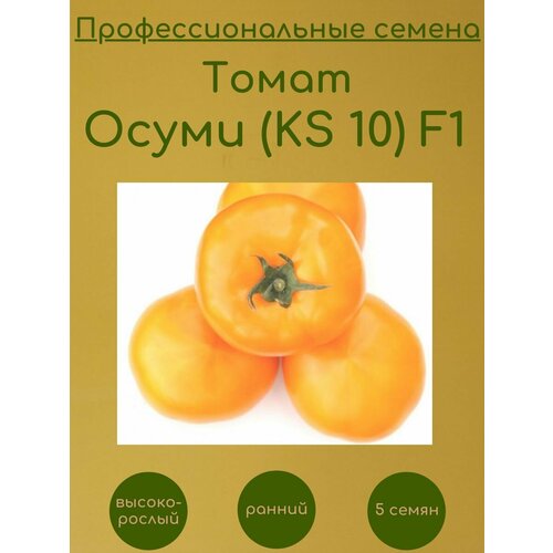    (KS 10) F1 5    -     , -, 