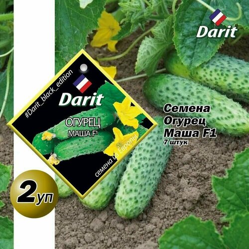   Darit   F1 7 2    -     , -, 