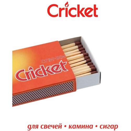    Cricket   -     , -, 