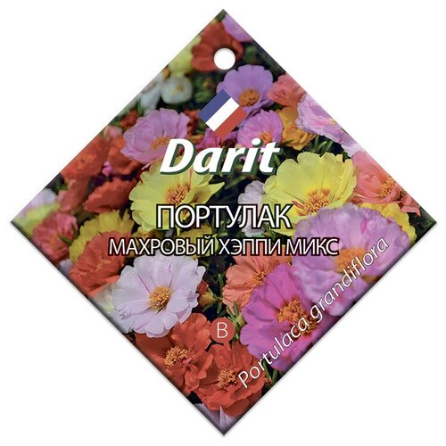   Darit 