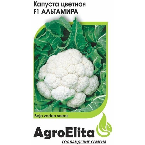      F1, 10, AgroElita, Bejo   -     , -, 