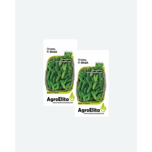     F1, 5, AgroElita, Seminis(2 )   -     , -, 