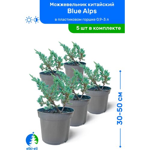    Blue Alps ( ) 30-50     0,9-3 , ,   ,   5    -     , -, 