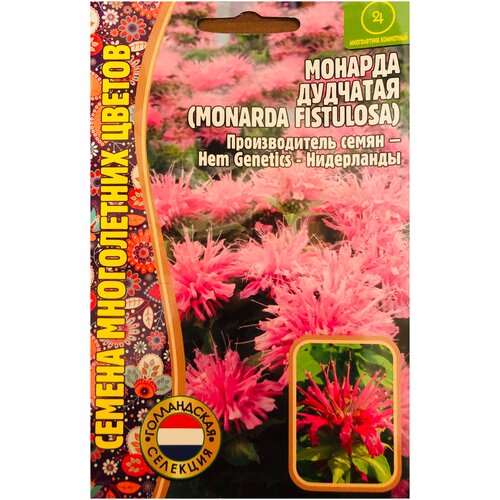     (Monarda fistulosa) (0,1 )   -     , -, 