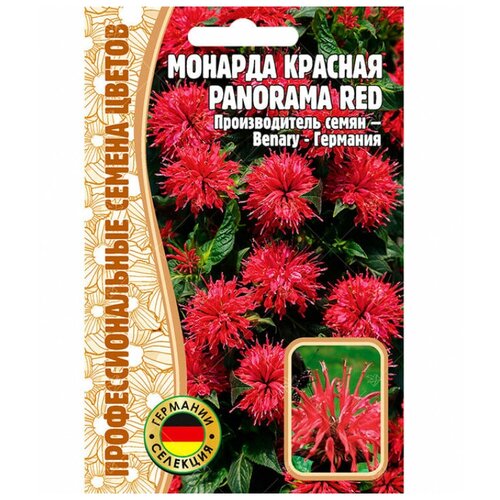     Panorama red (5 )   -     , -, 