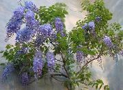 ღია ლურჯი ყვავილების გლიცინია (Wisteria) სახლი მცენარეთა ფოტო