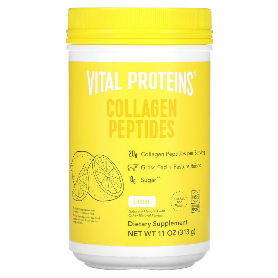  Vital Proteins,  , , 313  (11 )    -     , -, 