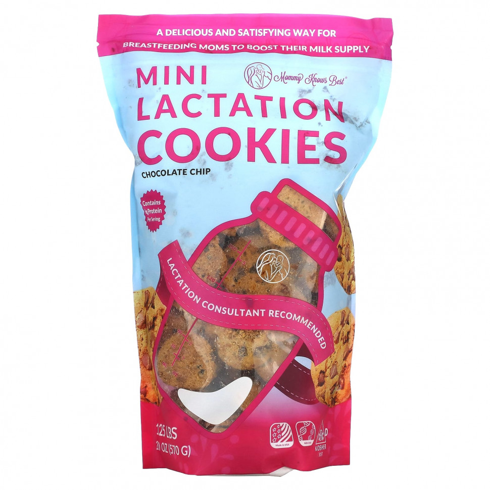  Mommy Knows Best, Mini Lactation Cookies, Chocolate Chip, 10 oz (570 g)    -     , -, 