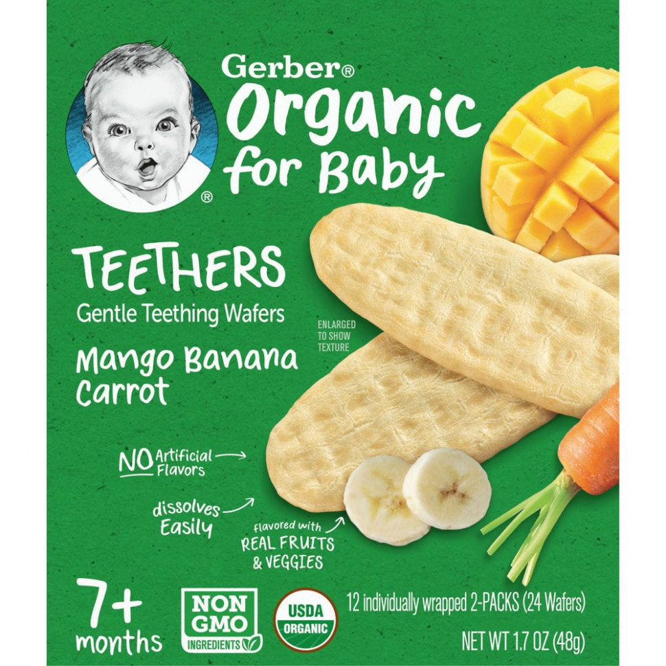  Gerber,  ,     ,  7 , , , , 12   2       -     , -, 