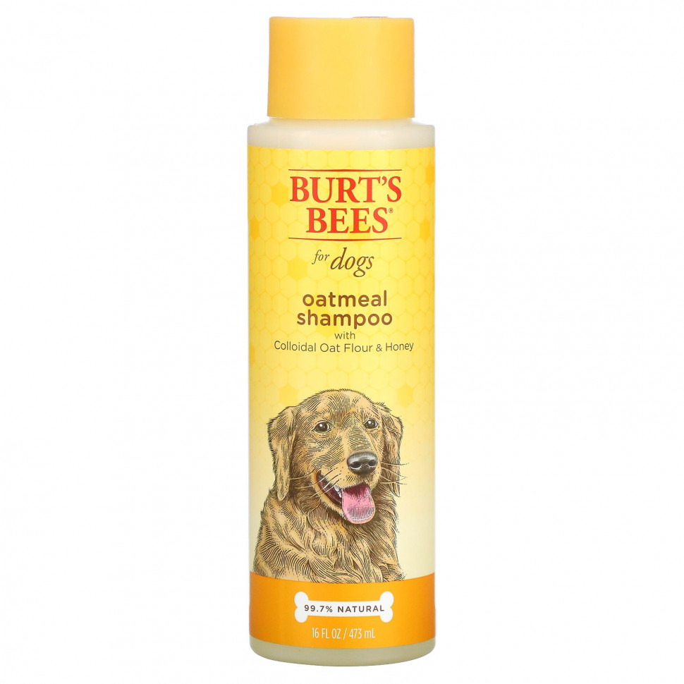 ���� Burt's Bees, Oatmeal Shampoo for Dogs, Colloidal Oat Flour & Honey, 16 fl oz (473 ml)  Iherb (������) ������ ������