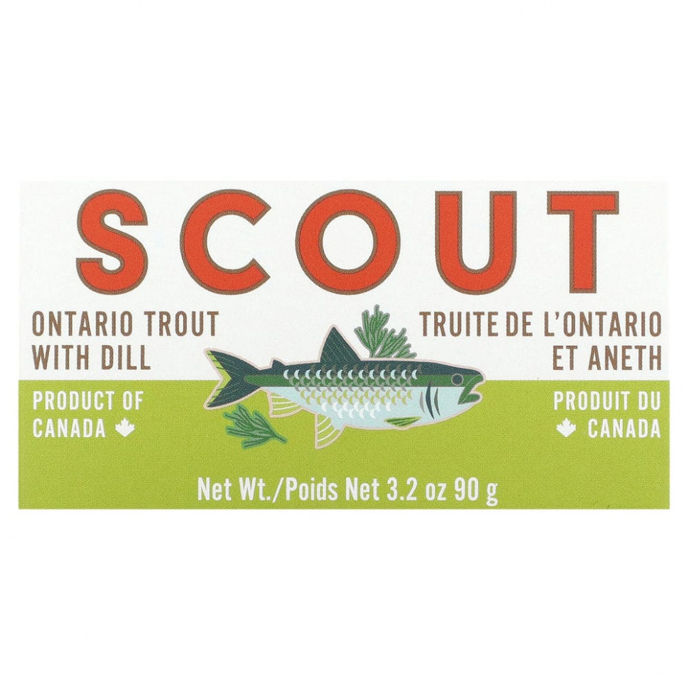  Scout,     , 90  (3,2 )    -     , -, 