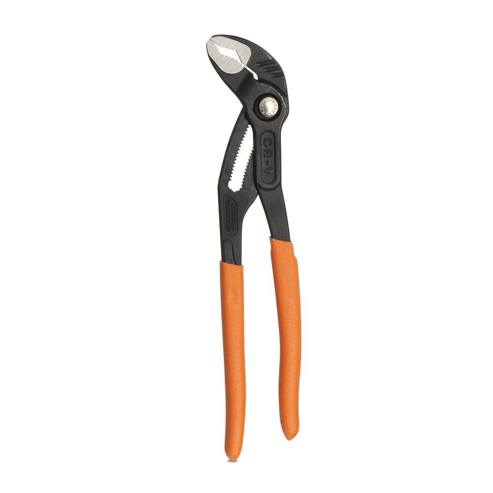 ���� ����� ����������� Rage by Vira 250 �� (311250)   ������ ������
