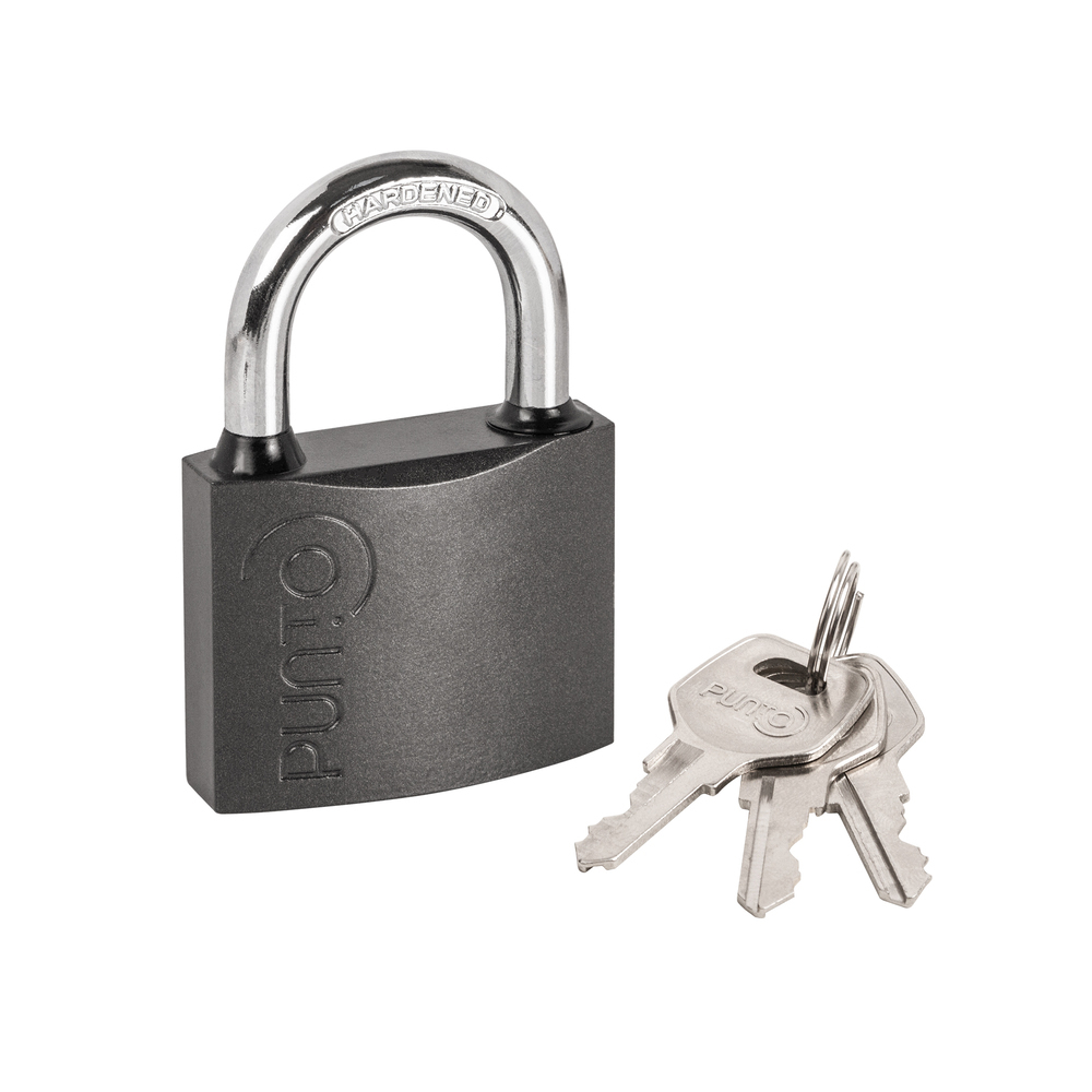 ���� ����� �������� Punto PK-0163   ������ ������