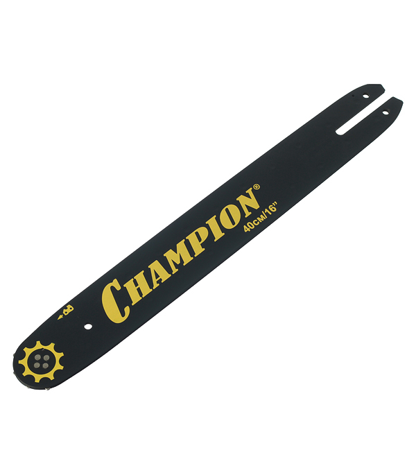 ���� ���� Champion 16