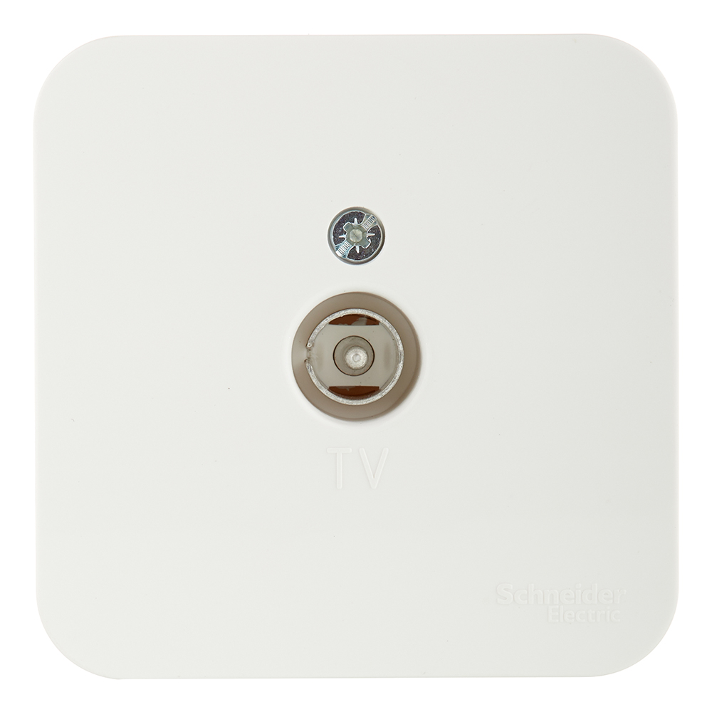 ���� ������� ������������� Systeme Electric Blanca ��������� �������� (BLNTA000012)   ������ ������