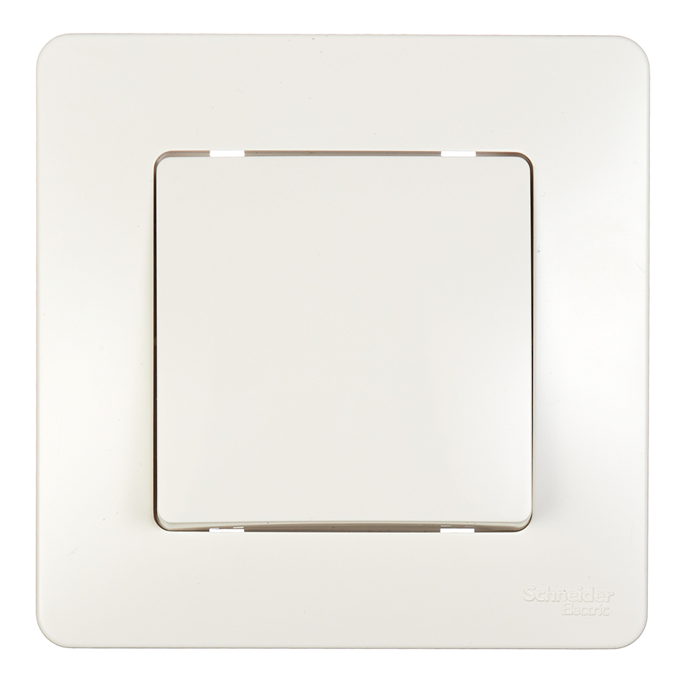 ���� ����������� Systeme Electric Blanca ������������� ������������ �������� (BLNVS010102)   ������ ������