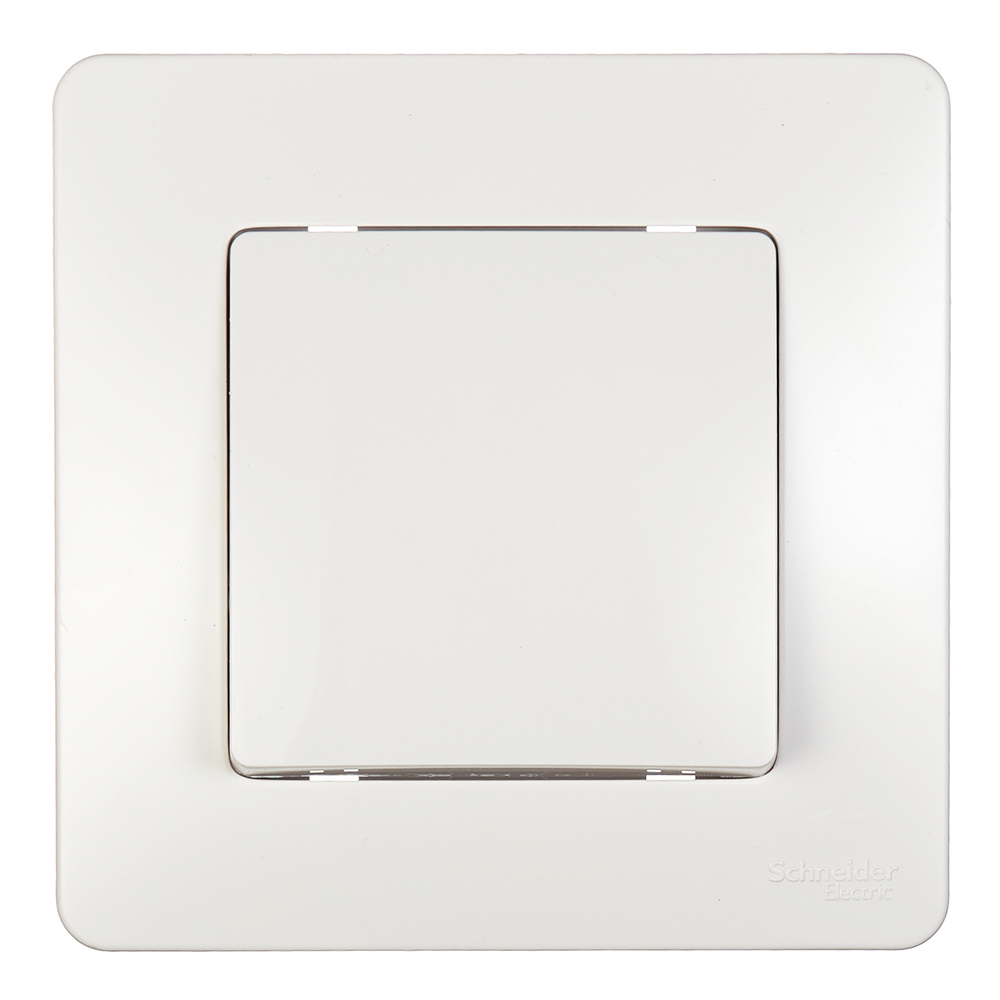 ���� ������������� Systeme Electric Blanca ������������ ����� (BLNVS010601)   ������ ������