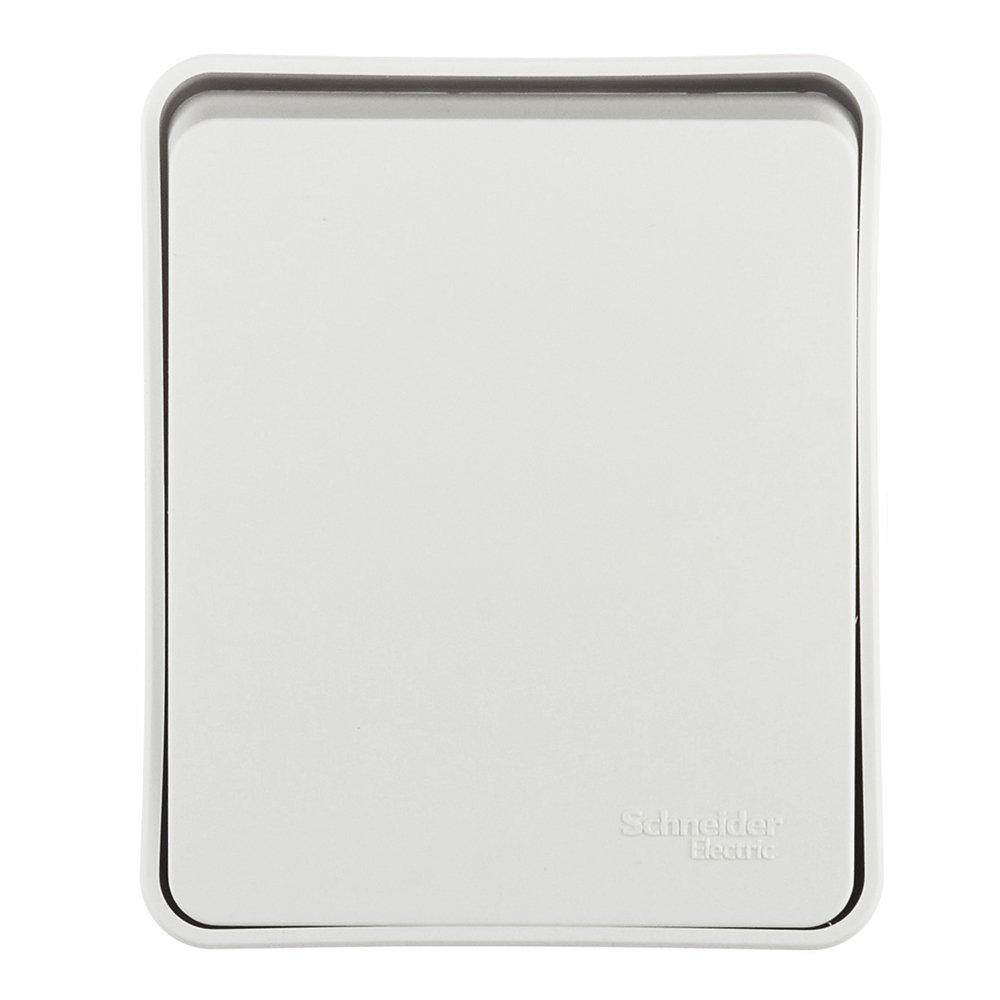 ���� ����������� Systeme Electric AtlasDesign Profi54 ������������� ��������� ����� (ATN540115)   ������ ������